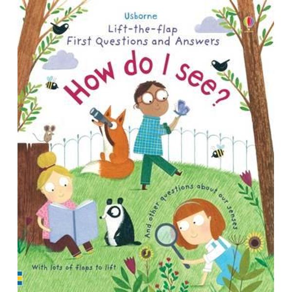 Lift-the-Flap First Questions & Answers How Do I See?