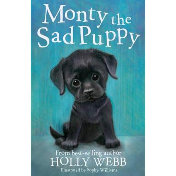 Monty the Sad Puppy