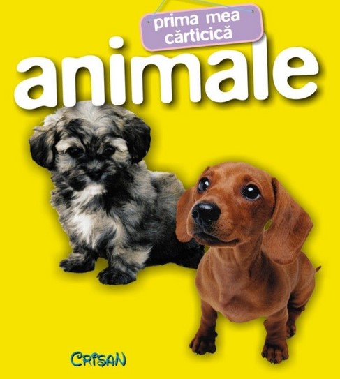 Prima mea carticica: Animale ed.3