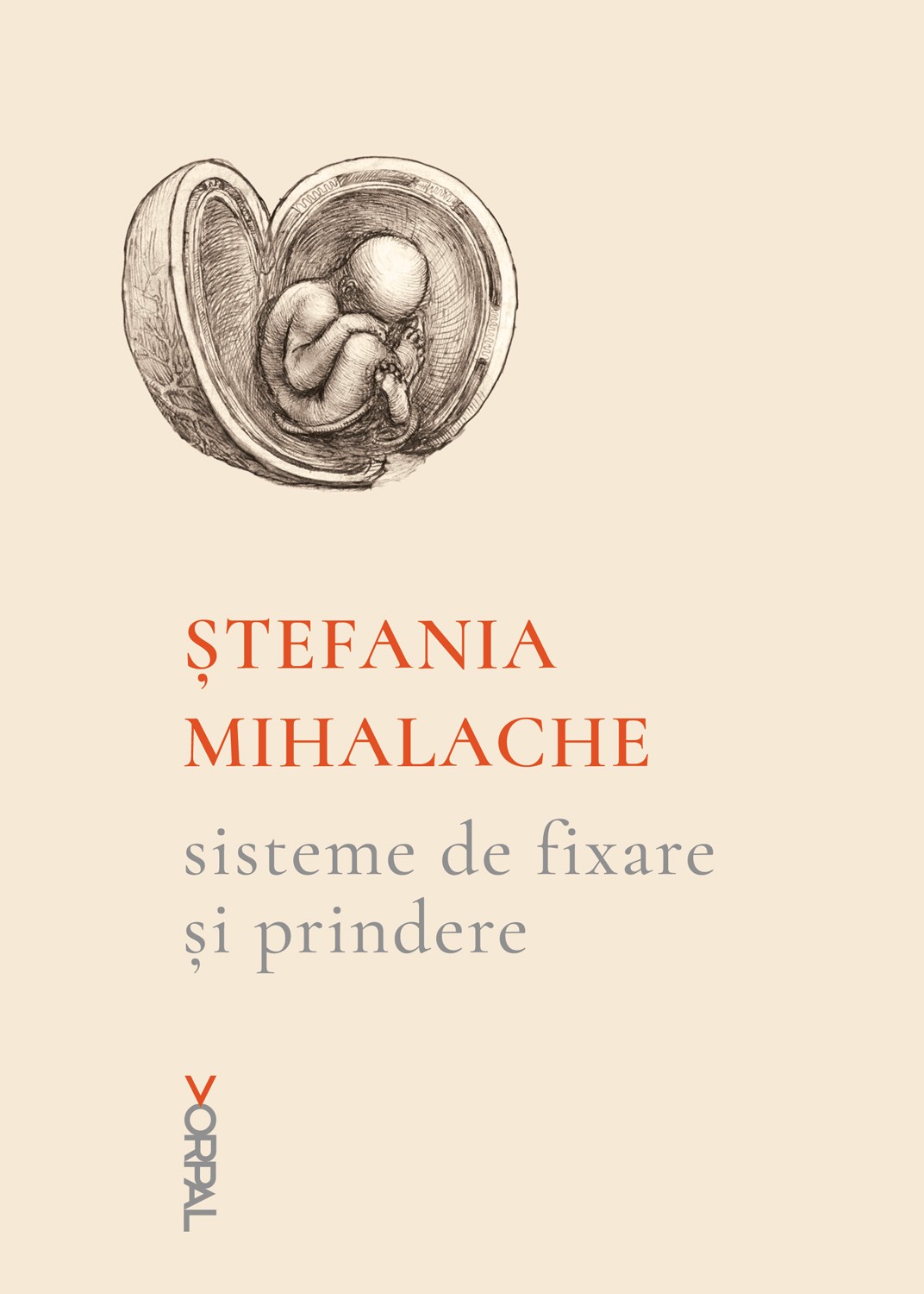 Sisteme de fixare si prindere - Stefania Mihalache