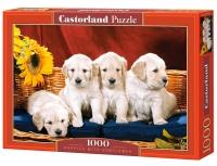 Puzzle 1000 Castorland - Puppies with Sunflower