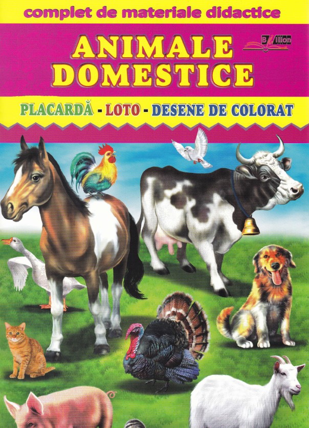 Animale domestice - Placarda, Loto, Desene de colorat