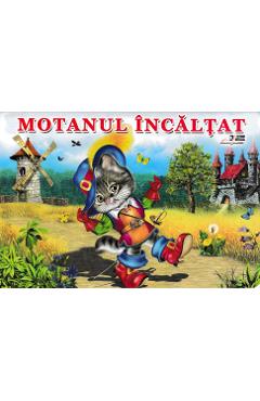 Coperta cărții 'Motanul incaltat'