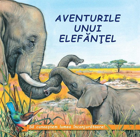 Aventurile unui elefantel - Sa cunoastem lumea inconjuratoare!