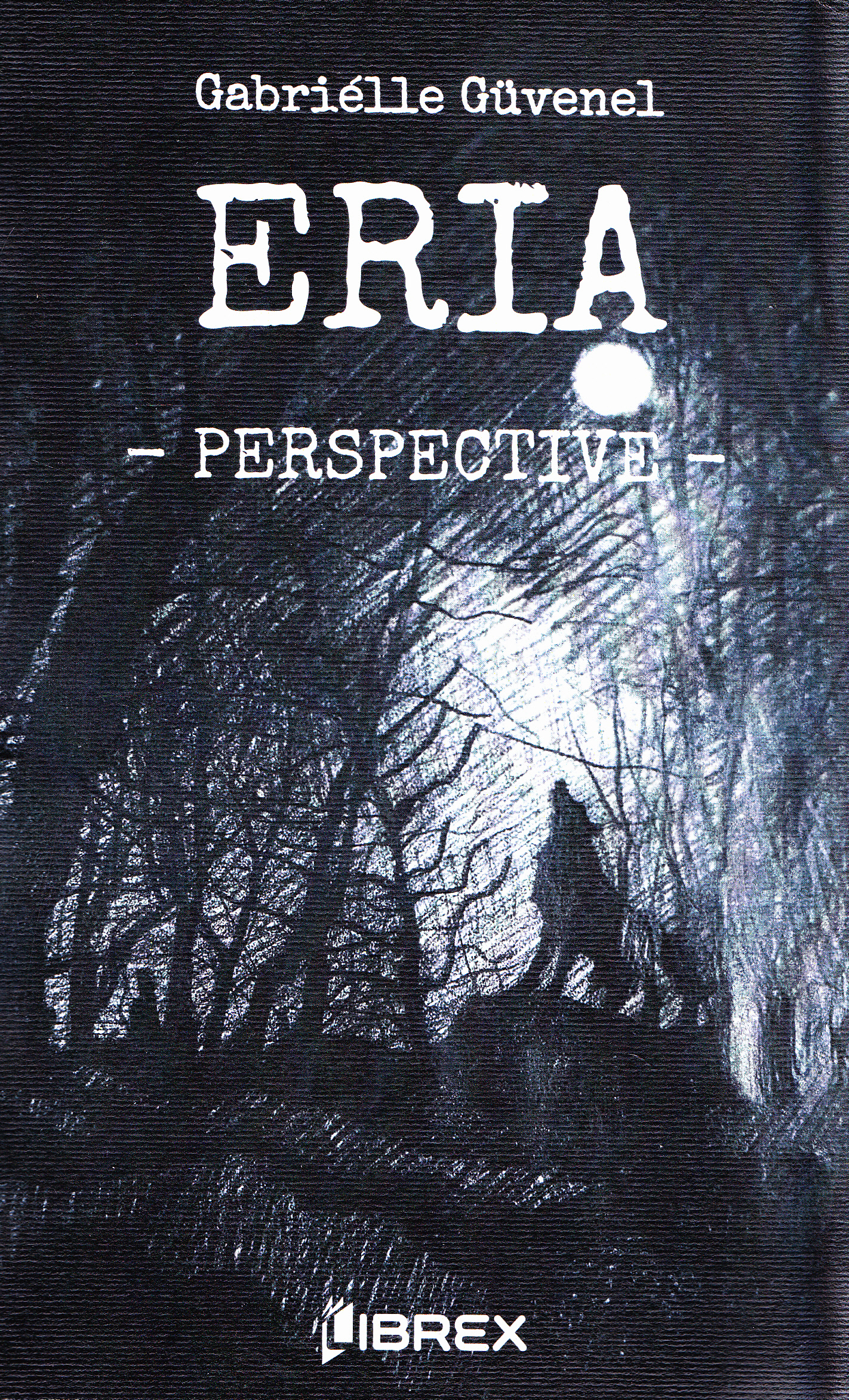 Eria vol.2: Perspective - Gabrielle Guvenel