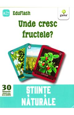 Poza produsului Unde cresc fructele? 3 ani+ (Eduflash)