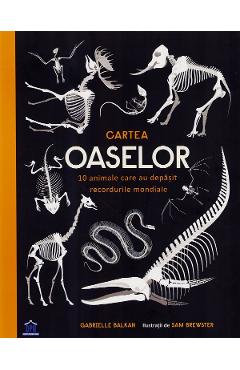 Coperta cărții 'Cartea oaselor - Gabrielle Balkan, Sam Brewster'