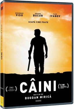 DVD Caini (slim)