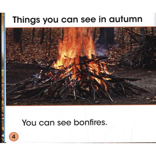What Can You See in Autumn?