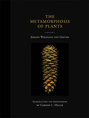 Metamorphosis of Plants