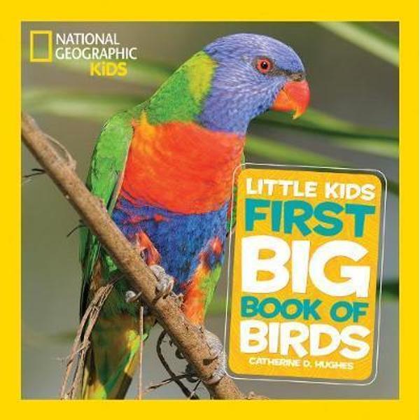 Little Kids Big Book of Birds