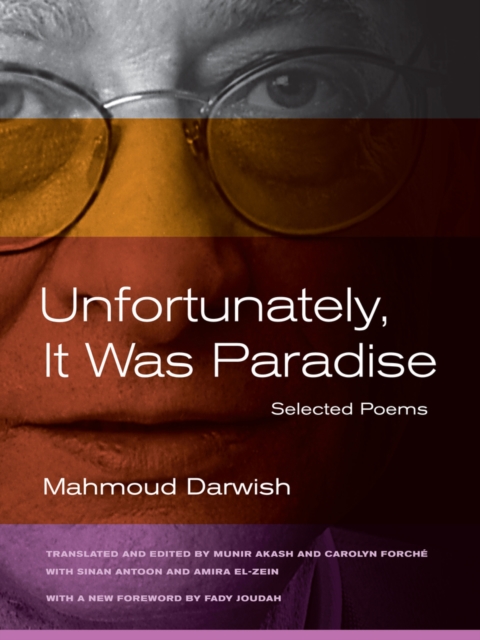 Unfortunately, it Was Paradise