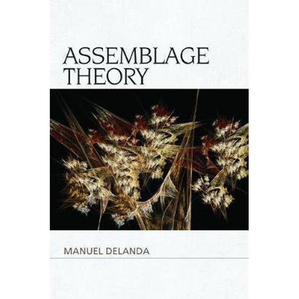 Assemblage Theory
