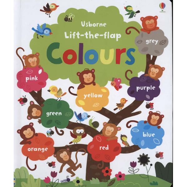 Lift the Flap Colours Book