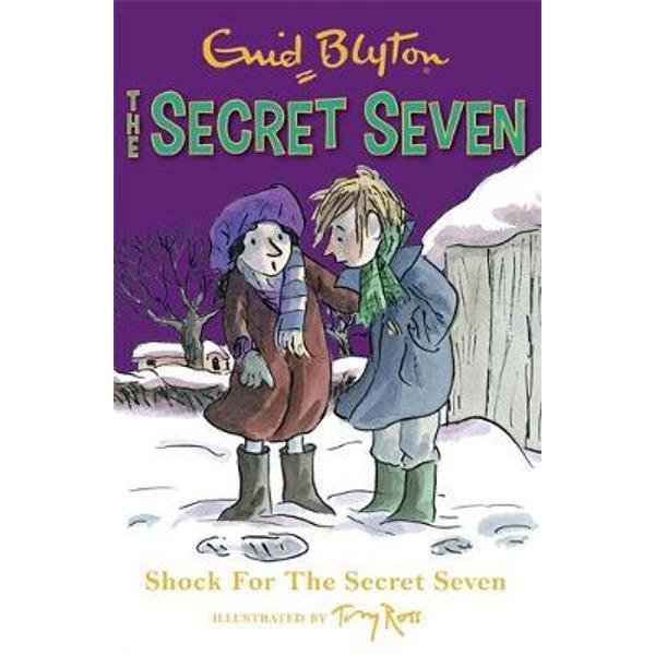 Shock for the Secret Seven