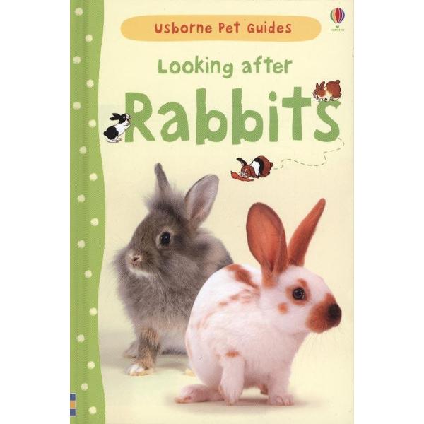 Looking After Rabbits