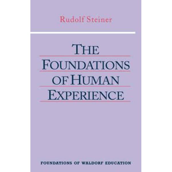 Foundations of Human Experience