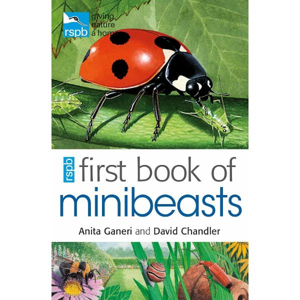 RSPB First Book of Minibeasts