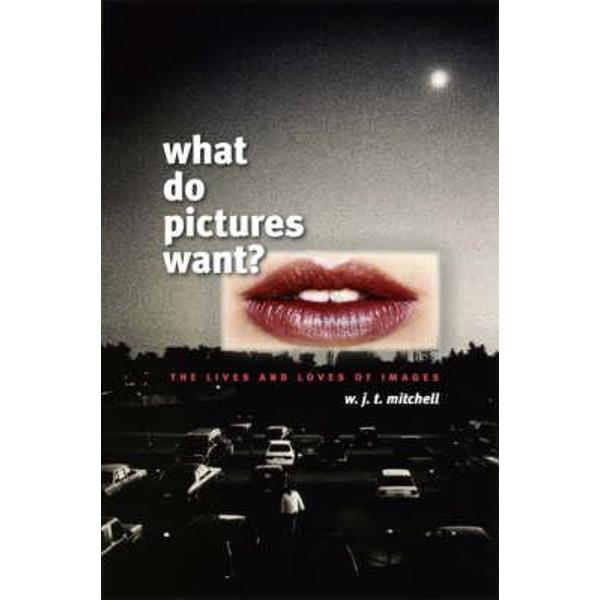 What Do Pictures Want?