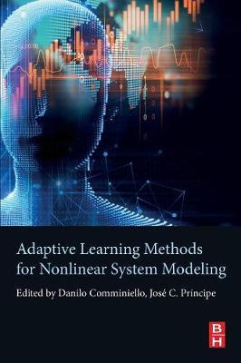 Adaptive Learning Methods for Nonlinear System Modeling