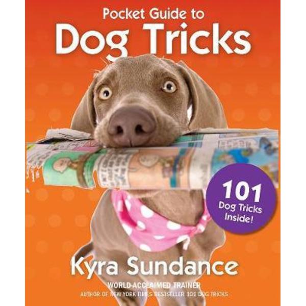 Pocket Guide to Dog Tricks