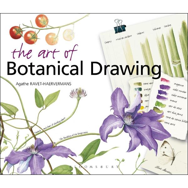 Art of Botanical Drawing
