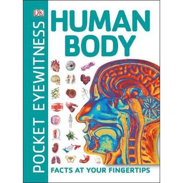 Pocket Eyewitness Human Body