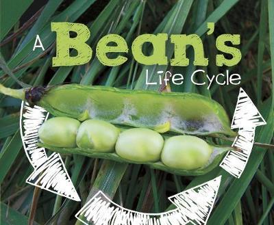 Bean's Life Cycle