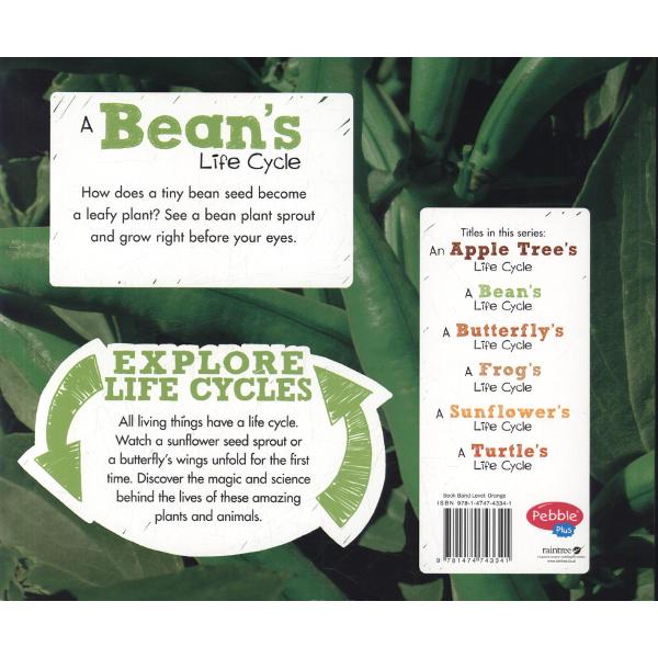 Bean's Life Cycle