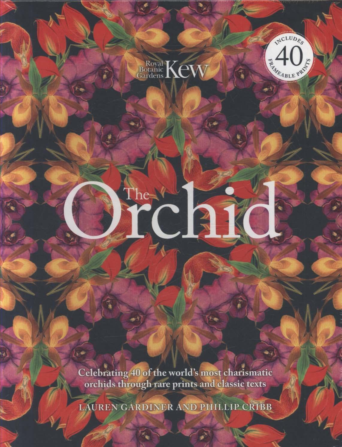 Orchid (Royal Botanical Gardens, Kew)
