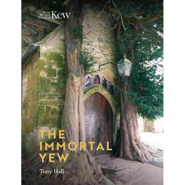 Immortal Yew