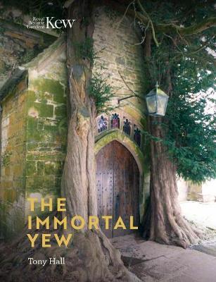 Immortal Yew
