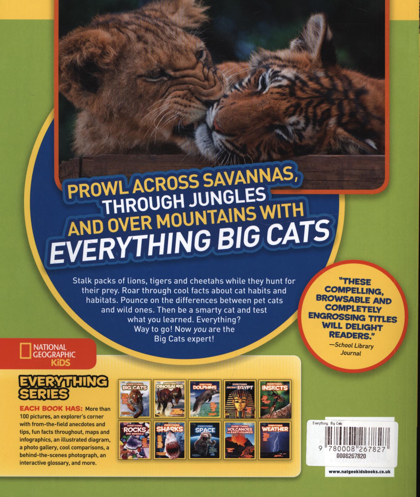 Everything: Big Cats