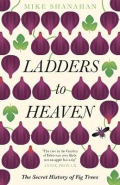 Poza produsului Ladders to Heaven