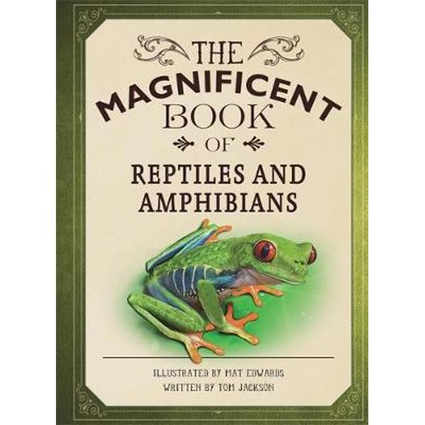 Magnificent Book of Reptiles and Amphibians