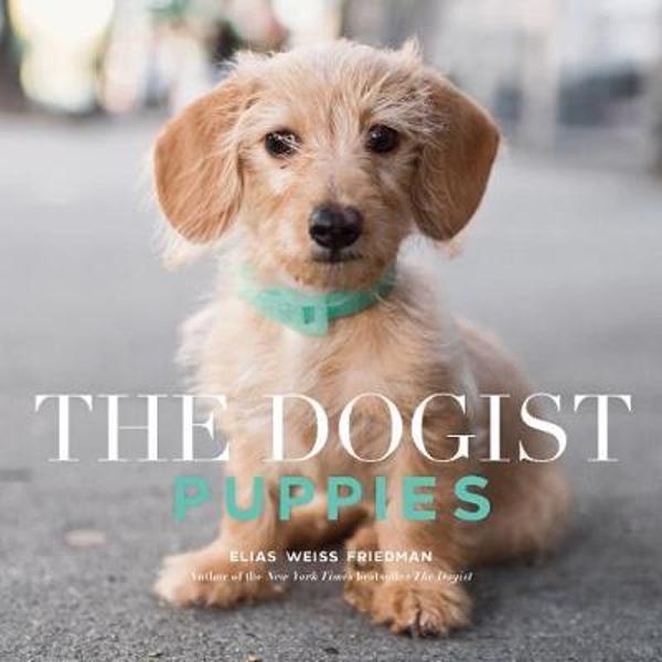 Dogist Puppies