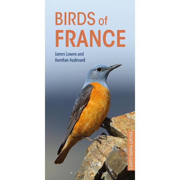 Birds of France