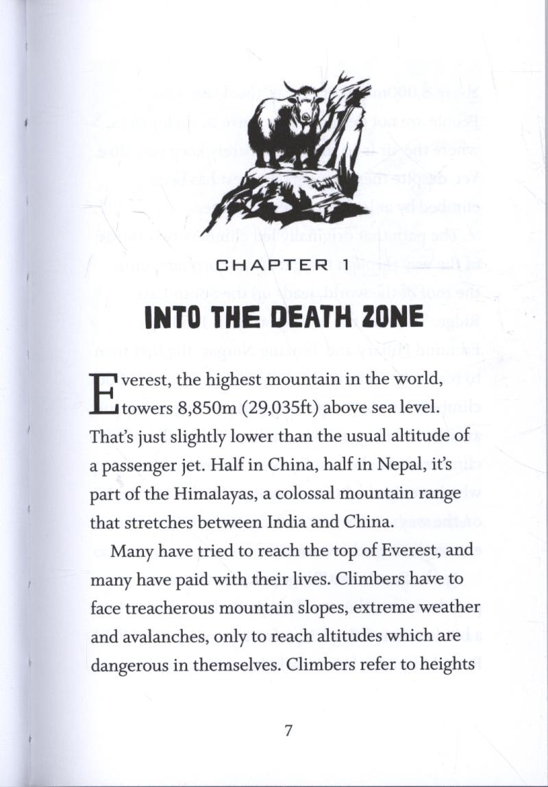 True Stories of Everest Adventures