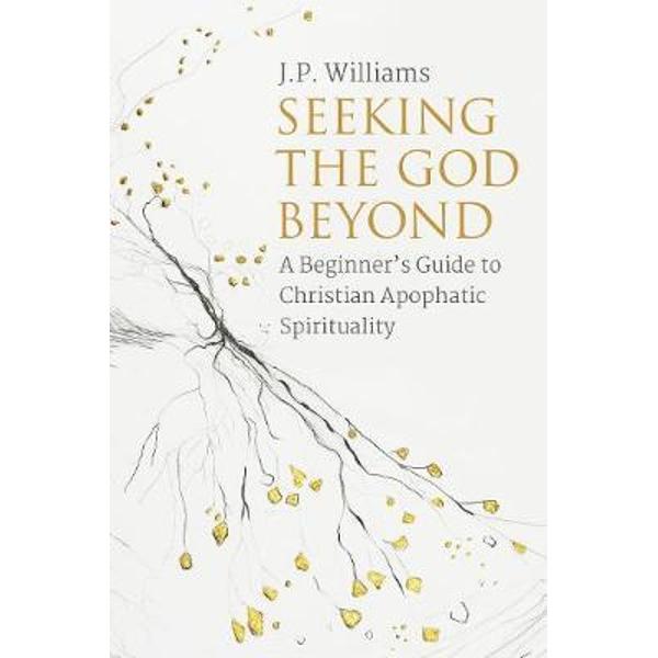 Seeking the God Beyond