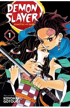 Demon Slayer: Kimetsu no Yaiba, Vol. 1