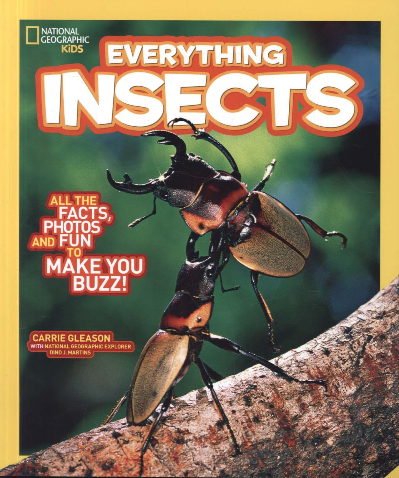 Everything: Insects