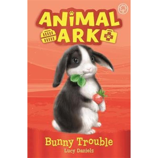 Animal Ark, New 2: Bunny Trouble