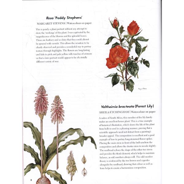 Botanical Painting with the Society of Botanical Artists