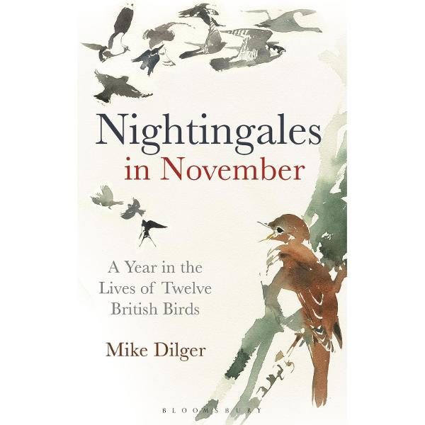 Nightingales in November