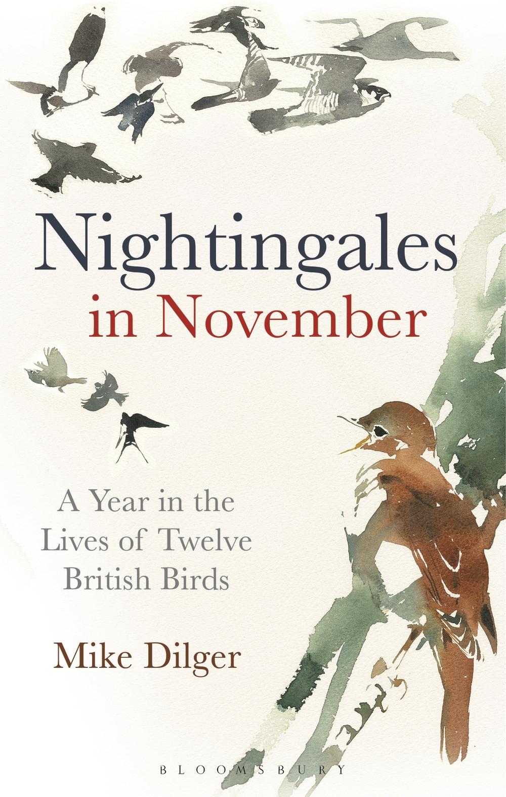 Nightingales in November
