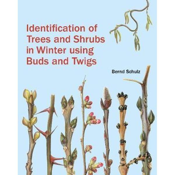 Identification of Trees and Shrubs in Winter Using Buds and
