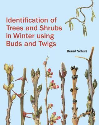Identification of Trees and Shrubs in Winter Using Buds and