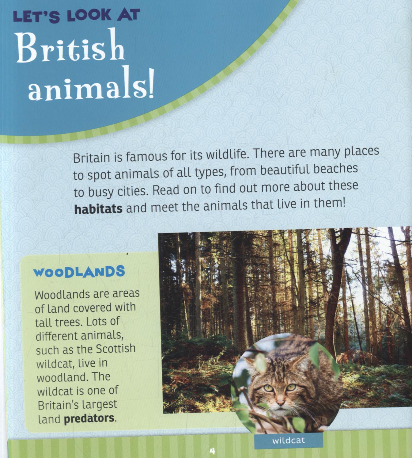 Animals of the British Isles