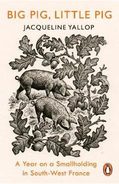 Coperta cărții 'Big Pig, Little Pig'