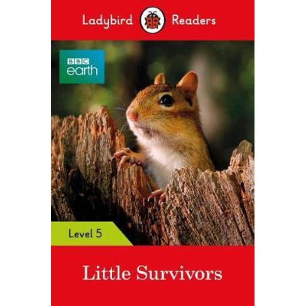 Ladybird Readers Level 5 BBC Earth Little Survivors